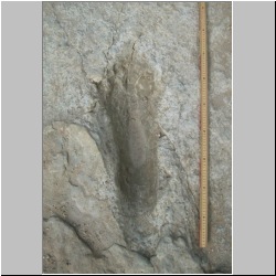 102_6242 (2013-08-08)m (IIS,-3).JPG